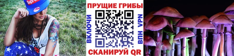 Псилоцибиновые грибы прущие грибы что такое Усинск